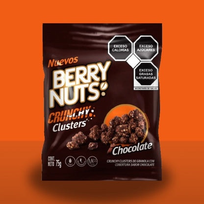Crunchy Clusters® Berry Nuts® Chocolate 75 g